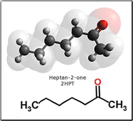 heptan-2-one