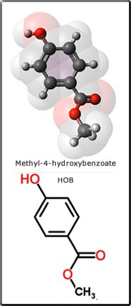 methyl-4-hydroxybenzoate